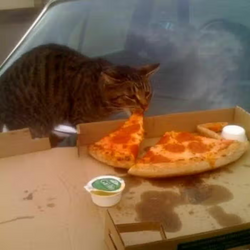 Pizza.png