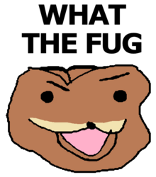 What the fug.png