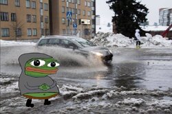 schizofrogs.jpg