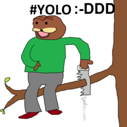 Yolo.png