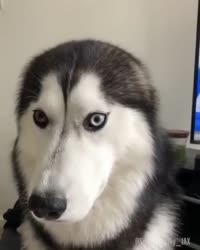 mfw.mp4
