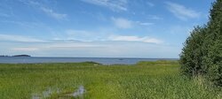 IMG_20260619_125243901_AE~2.jpg