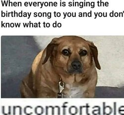 326680-When-Everyone-Is-Singing-The-Birthday-Song-To-You-And-You-Don-t-Know-What-To-Do.jpg