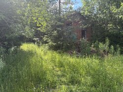 IMG_5888.jpeg