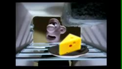 Fridge.mp4