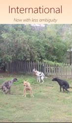 9x7o7.mp4