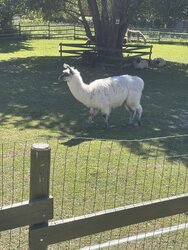 IMG_5495.jpeg