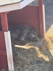 IMG_5490.jpeg