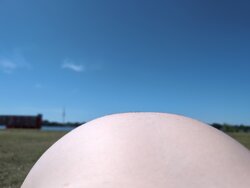 IMG_20260626_143420_603.jpg