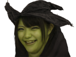 full - 2026-06-11T002733.968.png