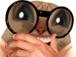 117f8cc92f1e4d01.png