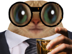 17826375306461230857020471208593.png