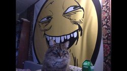 maxresdefault (19).jpg