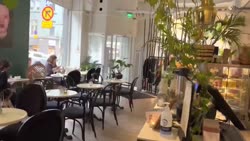 f38eff411c65e888.mp4