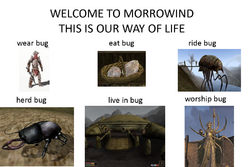 qa21f4zxtq891.png