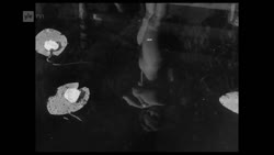 output_seppele.mp4