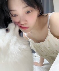 chaewonshiro.jpeg
