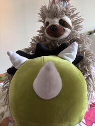 IMG_5604.jpeg