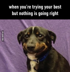 doge_not_doing_so_guud.jpg