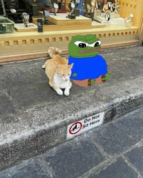 apu and cat sit.jpg