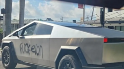 fuckelon.png