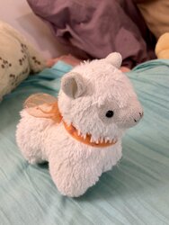 IMG_7559.jpeg