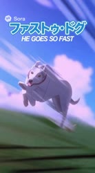 fastdog.mp4