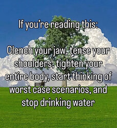 2d2814e9c60e524d.jpg
