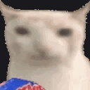 0ff47517ea49c840.gif
