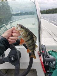 IMG_20260706_132754.jpg