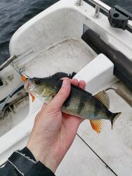 IMG_20260706_134646.jpg