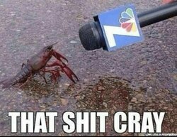 cray.jpg