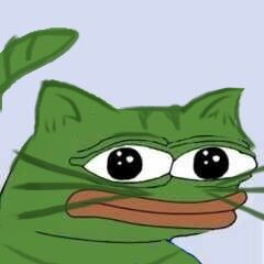 catfrog staring.png