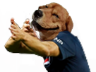 full - 2026-07-08T013256.264.png