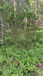 IMG2026-07-09_21-35-32_0014.jpg