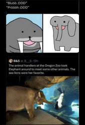 IMG_0446.jpeg
