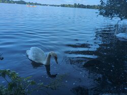 IMG_20260710_112806_605.jpg