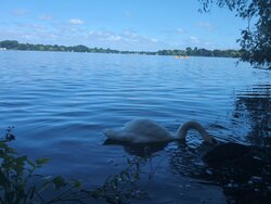 IMG_20260710_112822_663.jpg