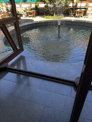 IMG_0452.jpeg