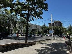 IMG_0453.jpeg