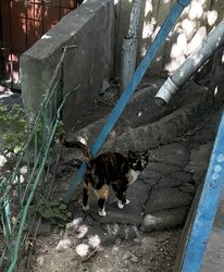 IMG_0455.jpeg