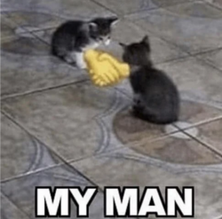 kot my man.png