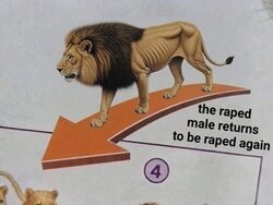 da4194710ad59d53.jpeg