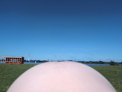 IMG_20260711_110450_380.jpg