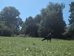 IMG_20260711_112902_433.jpg