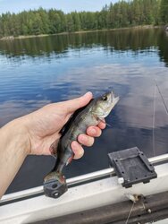 IMG_20260711_100804.jpg
