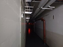 20260711_140610.jpg