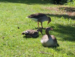 IMG_20260712_113723_730.jpg
