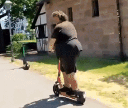 drachen skaterboard.gif