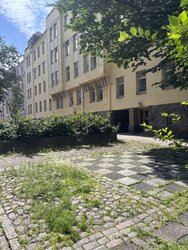 IMG_5831.jpeg